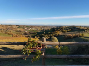 Cantina Visconti - Agriturismo